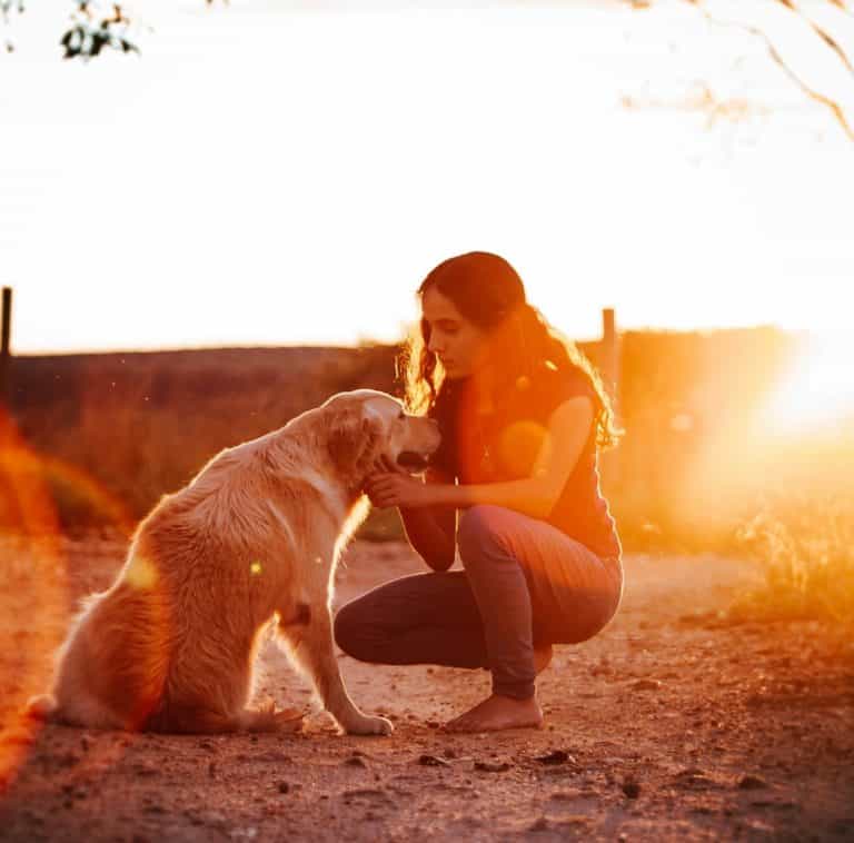 woman in orange shirt and black pants sitting on brown dirt during sunset