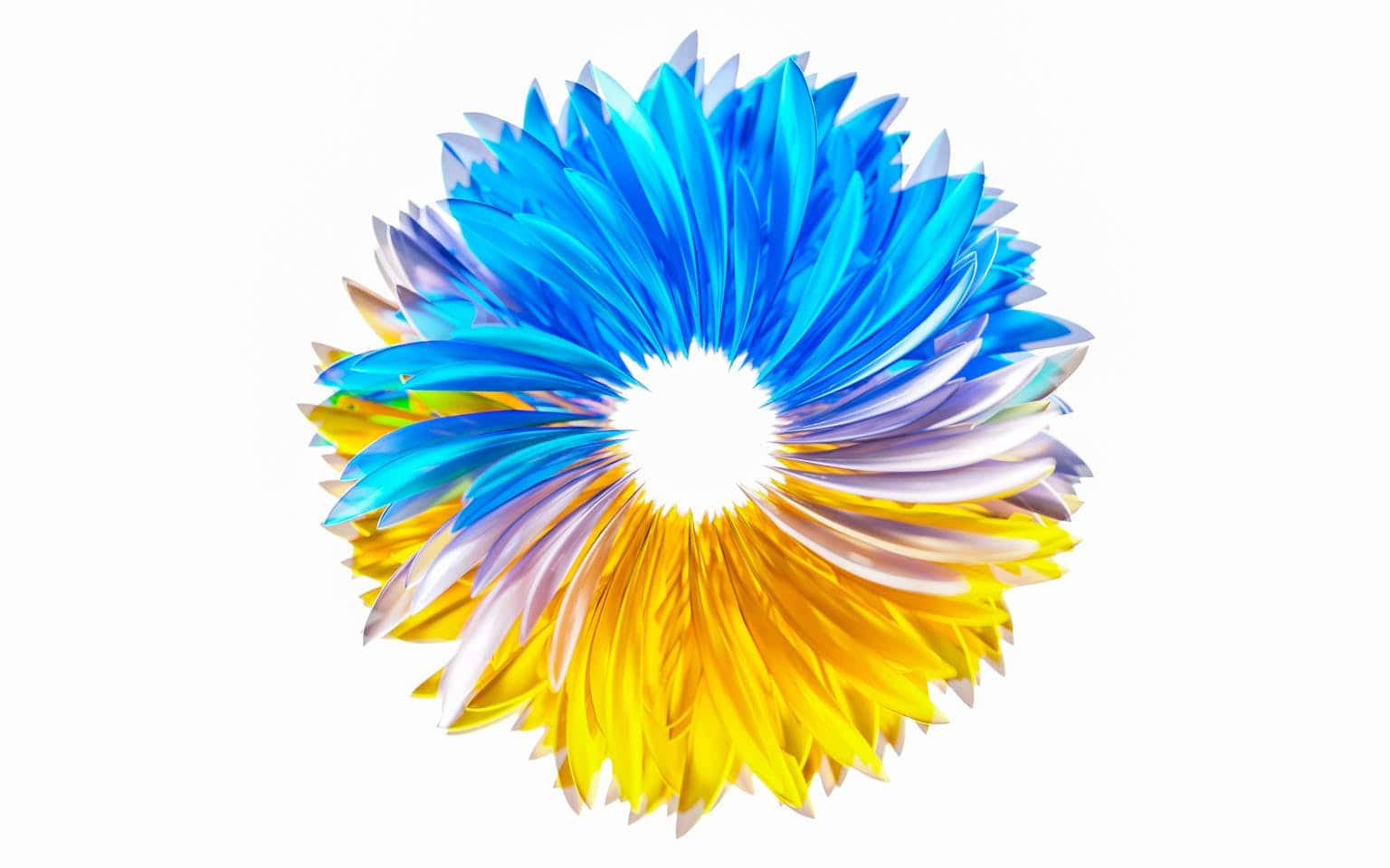 Vibrant circular design of blue and yellow petals on a white backdrop.